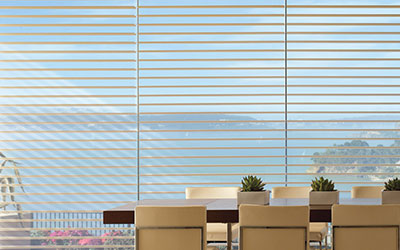 Silhouette Shadings Near You