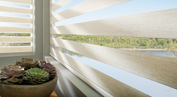 roller-shades-designer-banded-category