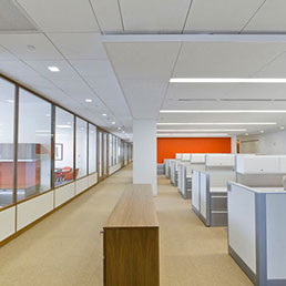 Hunter Douglas