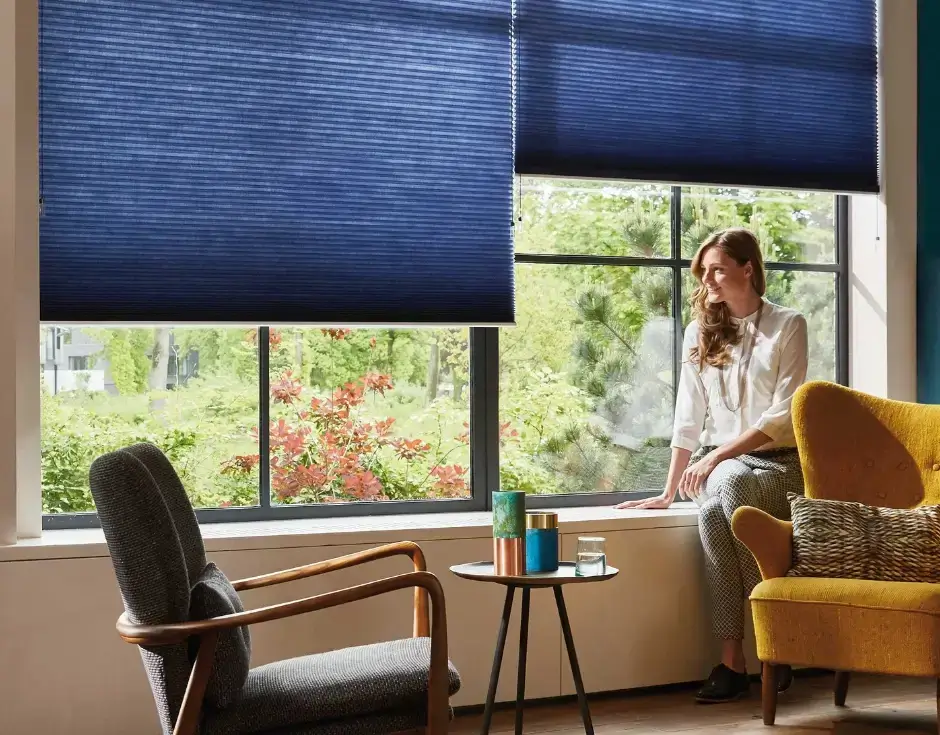 Picking the Best Shades for your Living Room Windows
