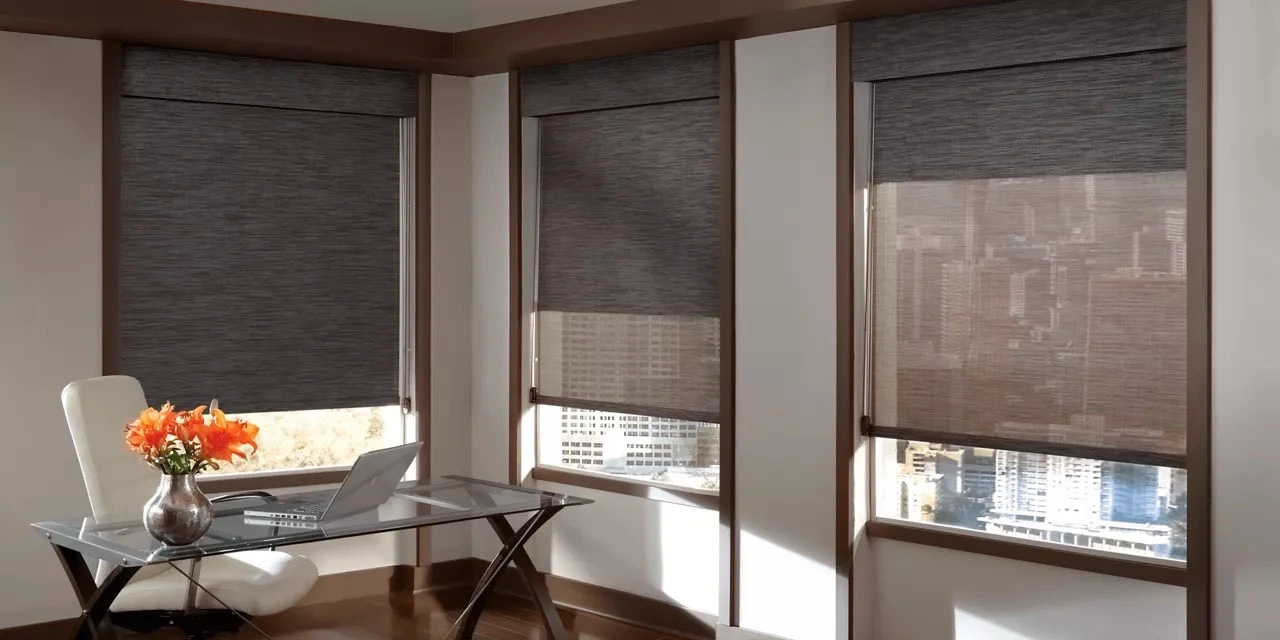 Hunter Douglas Solar Shades New York Large